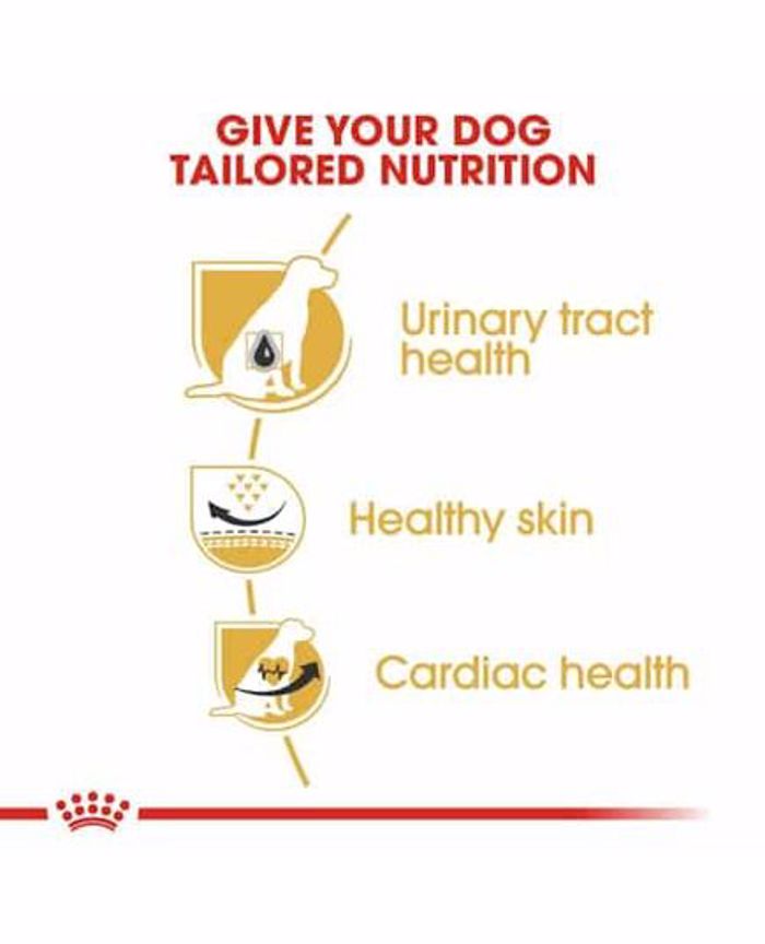 ROYAL CANIN XIRA TROFI SKuLOu ADULT DALMATIAN 12K